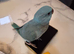 Hand reared baby ringnecks