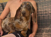Beautiful miniature dachshund female for sale