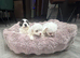 ADORABLE MALTIPOO PUPPIES