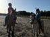 11.2 lead rein gelding