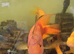 large parrot Oscars fish