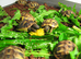 Baby Spur-thigh Tortoises for sale