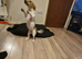 Jack russel