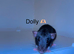 Beautiful mixed gender baby rats