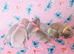 Staff puppies