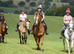 16.3hh 9yo gelding