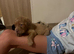 Kc reg Labrador puppy’s for sale Solihull