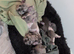 French bulldog puppies