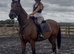 17hh ex national hunt tb