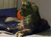 Gabii looking for her forever 5 star home*!