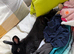 Mini Rex urgently looking for new home