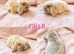 Baby Mini Lops (Ready 8/08)