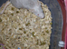 Fancy mice both sexes