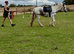 Gorgeous 14.2 Cob Mare