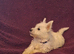 Westie girls and boy
