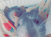 Pure dumbo rats two females