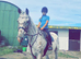 Vegas 16hh 6yrs leopard spotted Appaloosa gelding