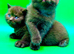 Cinnamon/chocolate British Shorthair