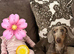 Beautiful girl looking for home