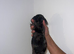 6 sausage dog puppies!