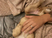 F1b cockapoo cream girl