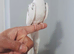 Beautiful hand tamed, untamed cockatiels for sale.