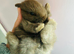 Chocolate lop mix