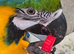 Blue and Gold Macaw
