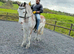 Show cob light weight hunter