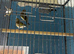 Finches mule Glasgow