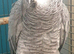 African grey