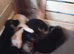 Puppies for Sale