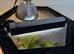 Giganterra HIVE L Gecko Vivarium Complete Setup - Plants, Vines, UVB & Heat Light
