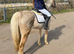 Palomino prettiest pony 9 yrs old 2nd pony winner!
