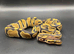 Het clown het pied ball Python hatchling Male