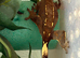 Crested gecko