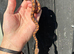 Brazilian Rainbow Boa babies