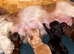 Beautiful F1 Shihpoos