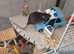 Rats cheddar and cheese
