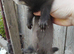 Small kits