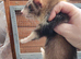 Semi angroa  kits