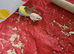 OFFERED 4 X FEMALE GERBILS WITH CAGE