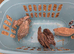 5 Females and 1 male coturnix Quail
