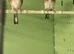 Goldfinch Cheve Parva size