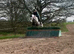 Talented Sweet 138 Unregistered Connemara Mare