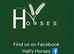 Registered standard gelding