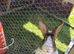 Dutch Doe Looking for a new home