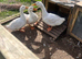 Aylesbury drakes
