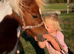 Lovely miniature Shetland mare.