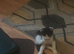 Kitten
